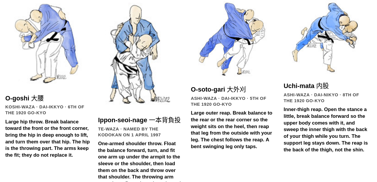 Uchikomi screenshot